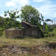 Dewi Kusuma